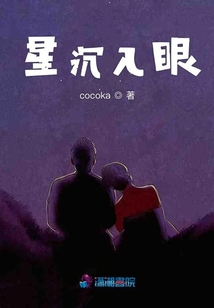 星沉入眼