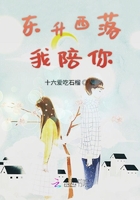 東升西落我陪你在線閱讀