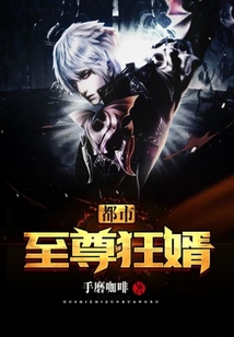 都市至尊狂婿