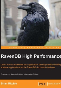 RavenDB High Performance