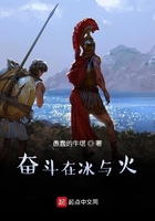 奋斗在冰与火在线阅读