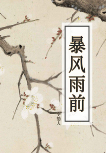 暴風(fēng)雨前