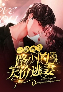 一胎兩寶:路少的天價逃妻