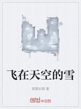 飞在天空的雪在线阅读
