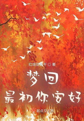 梦回最初你安好在线阅读