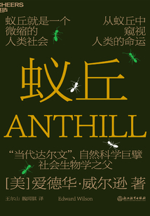 蟻丘