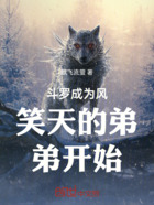 穿越斗罗成为风笑天的弟弟开始在线阅读