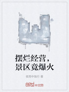 摆烂经营,景区竟爆火在线阅读