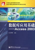 数据库应用基础（Access 2003）在线阅读