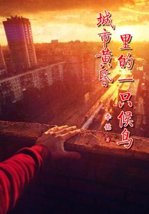 城市黃昏里的一只候鳥
