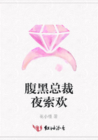 腹黑總裁夜索歡在線閱讀