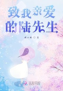致我亲爱的陆先生