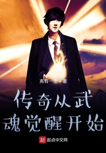 傳奇從武魂覺醒開始