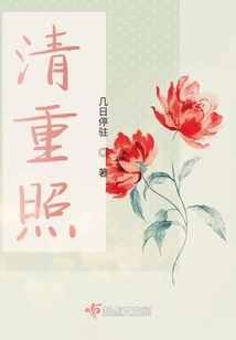 清重照