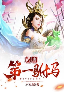 武唐第一駙馬
