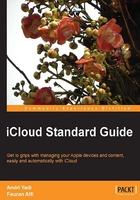 iCloud Standard Guide在线阅读