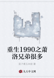 重生1990之蕭洛兄弟很多