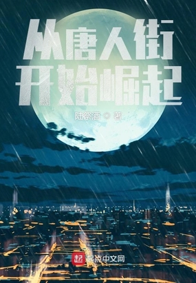 从唐人街开始崛起在线阅读