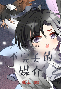 不完美的媒介