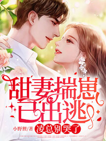 甜妻揣崽已出逃，凌總別哭了