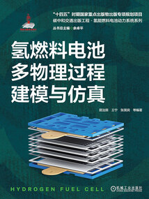氫燃料電池多物理過程建模與仿真(碳中和交通出版工程·氫能燃料電池動力系統系列)