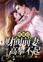 离婚后，财阀前妻陆总他高攀不起