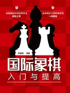 国际象棋入门与提高在线阅读