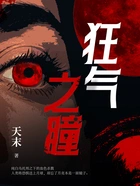 狂气之瞳在线阅读