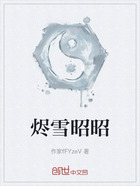 烬雪昭昭在线阅读