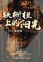 铁栅栏上的阳光在线阅读