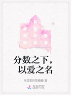 分数之下,以爱之名在线阅读