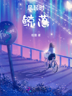 风起时，鲸落在线阅读