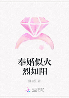 奉婚似火烈如陽在線閱讀