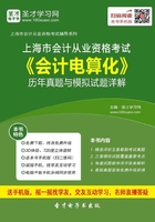 上海市会计从业资格考试《会计电算化》历年真题与模拟试题详解