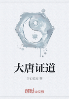 大唐證道在線閱讀