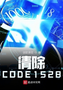 清除CODE1528