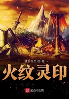 火纹灵印在线阅读
