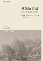 天朝拾遺錄：西方人的晚清社會觀察在線閱讀