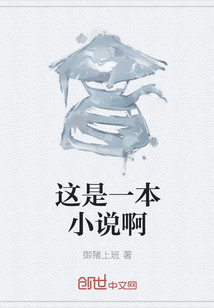 這是一本小說啊