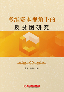 多維資本視角下的反貧困研究