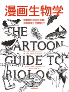 漫画生物学