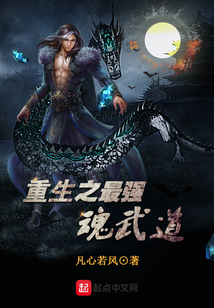 重生之最強(qiáng)魂武道