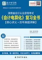 湖南省会计从业资格考试《会计电算化》复习全书【核心讲义＋历年真题详解】