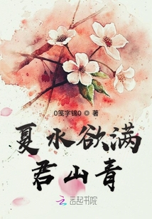 夏水欲滿君山青