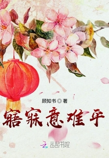 寤寐意難平
