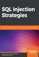 SQL Injection Strategies在线阅读