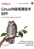 ="Linux内核观测技术BPF"