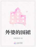 外婆的围裙在线阅读