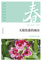 “我的青春我的梦”全国中学生校园美文精品集萃丛书:天使坠落的城市在线阅读
