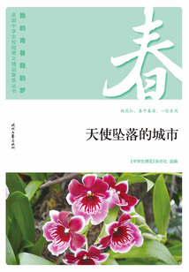 “我的青春我的夢”全國中學(xué)生校園美文精品集萃叢書:天使墜落的城市